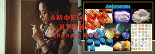 ПСИЛОЦИБИНОВЫЕ ГРИБЫ Елабуга
