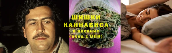 ешки Дмитриев
