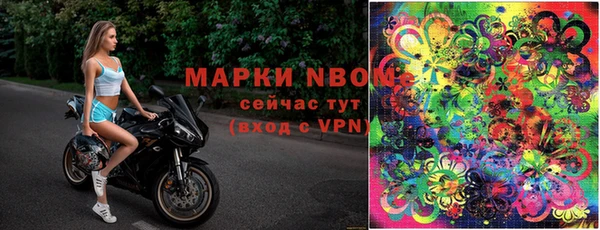 ешки Дмитриев
