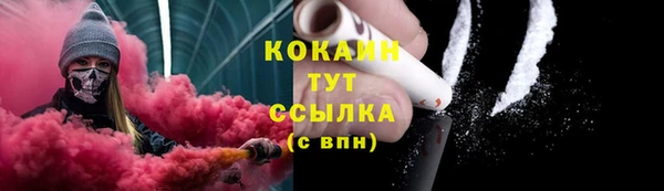 ешки Дмитриев