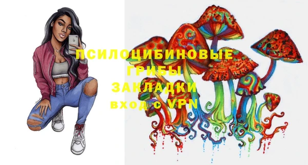 ешки Дмитриев