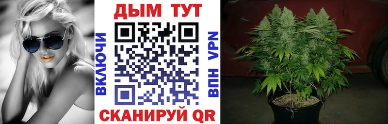 Купить закладки  Исилькуль  Шишки марихуана LSD WEED 